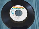 HORACE ANDY- SKYLARKING -BONGO MAN VG+