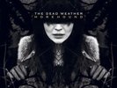 The Dead Weather - Horehound NEW Vinyl
