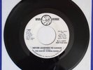 Rare Northern Soul R&B vinyl Harvey Averne Dozen PROMO 45 Never Learned to Dance