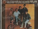 Sundazed LP 5005 The Beach Boys, Lost & Found  LP - Sealed