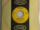 Sly and The Family Stone / Family Affair & Luv N' Haight / Epic 1971 45rpm / NM+