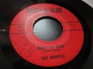 THEE MIDNITERS DON'T GO AWAY / ARE YOU ANGRY 7