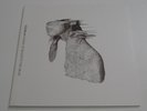 Coldplay 12