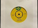 The Pioneers With Mighty Pioneers – Whip Them – USED Vinyl 7