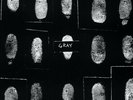 Shades Of by Gray (Silver 3LP Record, 2019) OOP Jean-Michel Basquiat NO WAVE