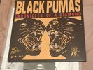 BLACK PUMAS SIGNED CLEAR VINYL RECORD ALBUM CHRONICLES OF A DIAMOND * AMOEBA
