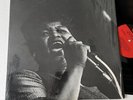 Big Mama Thornton Queen At Monterey Chicago Blues Band LP orig Arhoolie F 1032