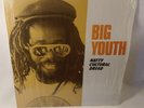 Natty Cultural Dread Big Youth TRLS-123 Trojan Records 1980 Vinyl LP