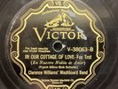 CLARENCE WILLIAMS' WASHBOARD BAND - VICTOR V-38063 - HOT JAZZ from 1929