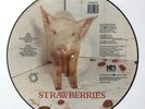 The Damned Strawberries NM Original UK PICTURE DISC vinyl LP 1986 goth punk rock