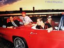The Fabulous Thunderbirds - T-Bird Rhythm (LP, Album)