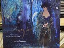 ENYA - How Can I Keep From Singing - NEW UNPLAYED 12” VINYL SINGLE. LTD COVER