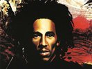 Bob Marley and The Wailers - Natty Dread - Vinyl LP  - 180 Gram New SEALED