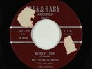 Blues R&B 45 - Detroit Junior - Money Tree - Bea & Baby - VG+
