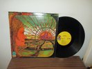 THE CHILDREN - REBIRTH - ATCO FUZZ PSYCH - VG MINUS - SEE DESCRIPTION