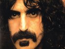 Frank Zappa Sealed EURO 180g Reissue LP Apostrophe 2014 Prog Jazz Rock Fusion