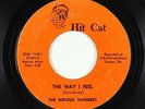 Garage 45 - Wrong Numbers - The Way I Feel/I Wonder Why? - Hit Cat
