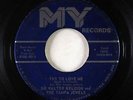 Garage 45 - Sir Walter Raleigh & the Tampa Jewels - Try To Love Me - My