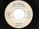 JENNIE & JAY 45RPM '57 JAY WING TELL ME/RUTHIE RARE MARYLAND TEEN DOO WOP  VG+