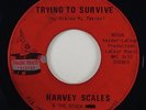 Harvey Scales 