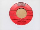 SANDY WADDY - EVERYTHING IS EVERYTHING - ORIGINAL SOUND OF SOUL - VG++ to EX