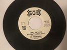 ￼Original Promo  “ I FELL IN LOVE / THROW YOUR LOVE AWAY GIRL ” THE UNDERTAKERS