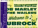 Bob Marley - Welcome To Dubrock Vol. 1 Vinyl LP - Brand New w/ Obi-Strip
