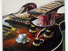 FREDDIE KING BURGLAR RSO MW2107 JAPAN VINYL LP