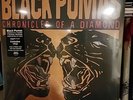 Black Pumas Chronicles of a Diamond Exclusive Vinyl Gold & White w Red Splatter