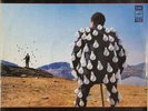Pink Floyd Delicate Sound Of Thunder RED LABELS NEAR MINT Melodia 2xVinyl LP