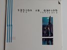 LP Guided by Voices - Bee Thousand.  U.S. Scat 1994.  White vinyl.
