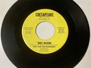 Tony & Raindrops DOOWOP 45 While Walking / Our Love Is Over CHESAPEAKE M/M- HEAR