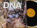 DNA-A Taste of DNA ORIG.'81 AMERICAN CLAVE Vinyl LP PUNK NO WAVE ARTO LINDSAY EX