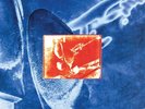 DIRE STRAITS - ON EVERY STREET - MOBILE FIDELITY 2X 45RPM 180G *SEE DESCRIPTION*