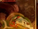 Great White - House Of Broken Love - 7