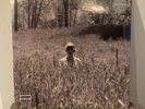Taylor Swift Folklore in The Weeds (Limited Edition Deluxe, Vinyl LP, 2020)