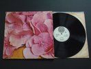 STILL LIFE : Still Life 1Y1/2Y1 1st PRESS VERTIGO 971 Superb AUDIO FOR MAJORITY