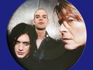 David Bowie /Placebo – Without You I'm Nothing Limit. Picture Disc RSD 2017