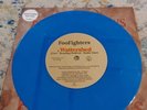 Foo Fighters / For All The Cows 7