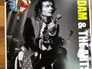 Adam and the Ants Stand and Deliver  7” Vinyl Single Record With a Unique Cover
