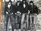 THE RAMONES (self-titled debut) SR 6020 1976 issue