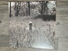 Taylor Swift Folklore in The Weeds (Limited Edition Deluxe, Vinyl 2020) - Sealed