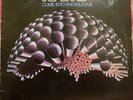 RAMP Come Into Knowledge LP TB-6028 rare Private Press Roy Ayers 