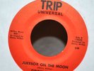 Ginny Millay Jukebox On The Moon 45 Record UFO Weird 70's Rockabilly Space