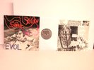 Sonic Youth Evol Lyric Insert Rock LP