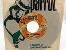 The Daily Flash Queen Jane Jack of Diamonds Promo Seattle Garage Rocker 1966 NM