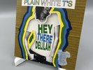 Plain White T'S Hey There Delilah 7
