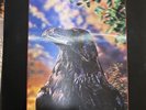 The Stranglers ‎ The Raven  Rare 1979 Ltd Edition UK Porky Prime Cut Vinyl LP