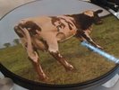 Pink Floyd - Atom heart mother lp picture disk