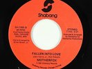 Modern Soul Boogie 45 - Motherfox - Fallen Into Love - Shabang - VG+